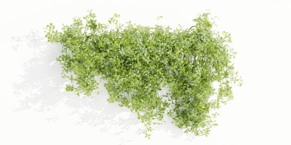 Hanging wall creeper plants collection vol 190-Blender