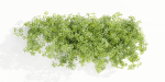 Hanging wall creeper plants collection vol 190-Blender