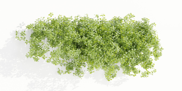 Hanging wall creeper plants collection vol 190-Blender