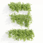 Hanging wall creeper plants collection vol 190-Blender