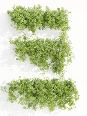 Hanging wall creeper plants collection vol 190-Blender