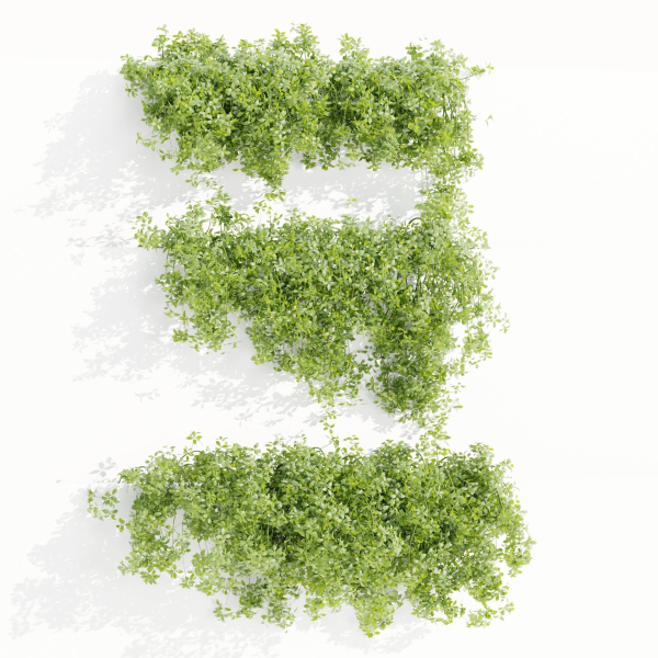 Hanging wall creeper plants collection vol 190-Blender