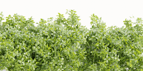 Hanging wall creeper plants collection vol 190-Blender