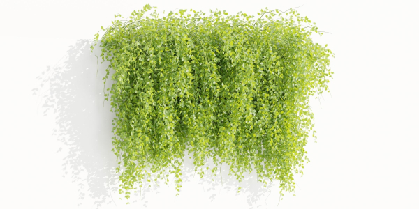 Hanging Wall Creeper Plants collection vol 225-Blender