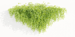 Hanging Wall Creeper Plants collection vol 225-Blender