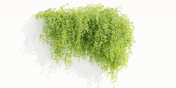 Hanging Wall Creeper Plants collection vol 225-Blender