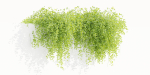 Hanging Wall Creeper Plants collection vol 225-Blender