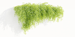 Hanging Wall Creeper Plants collection vol 225-Blender
