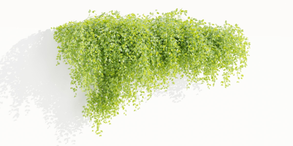 Hanging Wall Creeper Plants collection vol 225-Blender