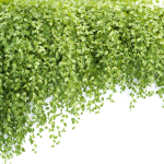 Hanging Wall Creeper Plants collection vol 225-Blender