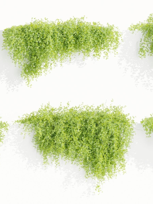 Hanging Wall Creeper Plants collection vol 225-Blender