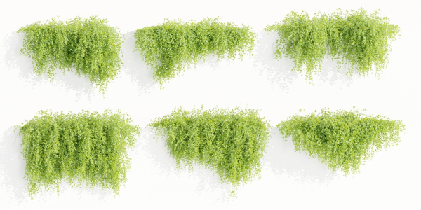 Hanging Wall Creeper Plants collection vol 225-Blender