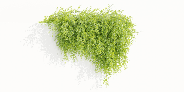 Hanging Wall Creeper Plants collection vol 225-Blender