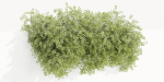 Hanging wall creeper plants collection vol 230-Blender