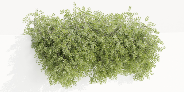 Hanging wall creeper plants collection vol 230-Blender