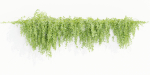 Hanging wall plants collection vol 109-Blender