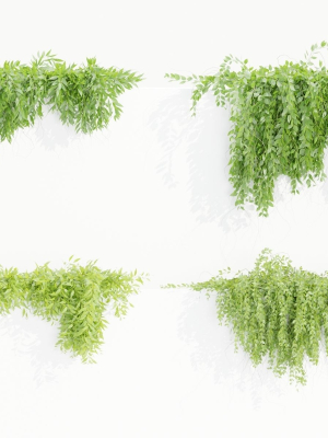 Hanging wall plants collection vol 109-Blender