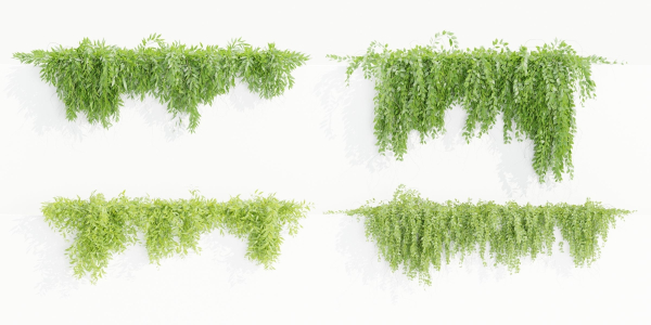 Hanging wall plants collection vol 109-Blender