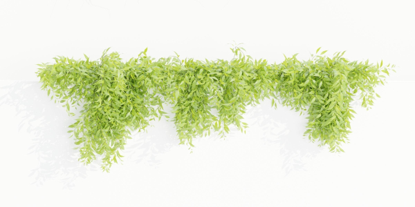 Hanging wall plants collection vol 109-Blender
