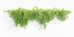 Hanging wall plants collection vol 109-Blender
