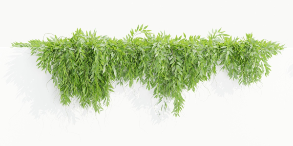 Hanging wall plants collection vol 109-Blender