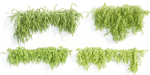 Hanging wall plants collection vol 56-Blender