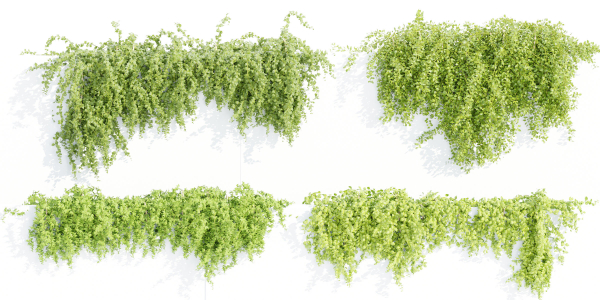 Hanging wall plants collection vol 56-Blender