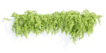 Hanging wall plants collection vol 56-Blender