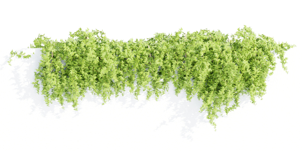 Hanging wall plants collection vol 56-Blender