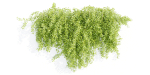 Hanging wall plants collection vol 56-Blender