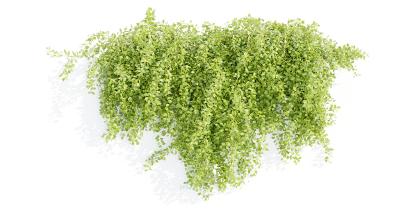 Hanging wall plants collection vol 56-Blender
