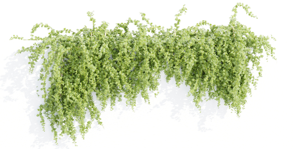 Hanging wall plants collection vol 56-Blender