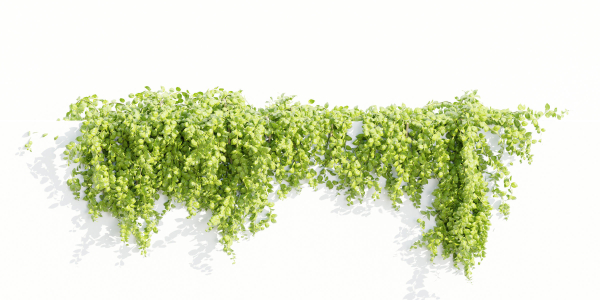 Hanging wall plants collection vol 56-Blender