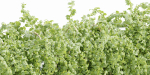 Hanging wall plants collection vol 56-Blender