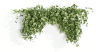 Hanging wall plants collection vol 72-Blender