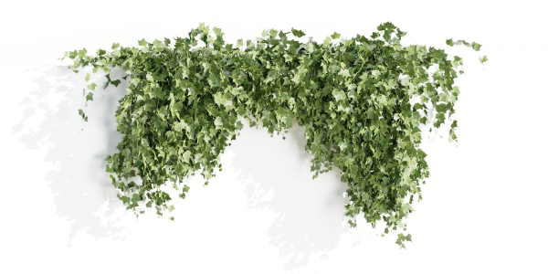 Hanging wall plants collection vol 72-Blender
