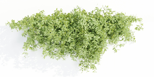 Hanging wall plants collection vol 72-Blender