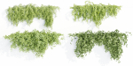 Hanging wall plants collection vol 72-Blender