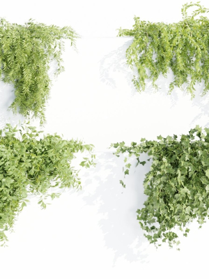 Hanging wall plants collection vol 72-Blender