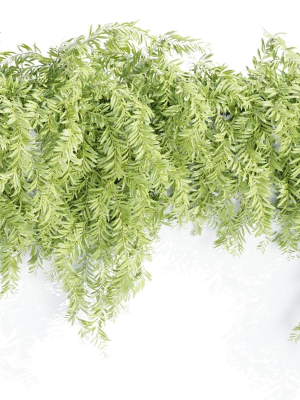 hanging-wall-plants-collection-vol-72-blender-3d-model-ec9cd844ed