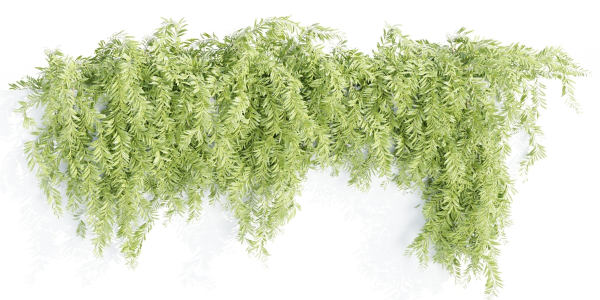 Hanging wall plants collection vol 72-Blender