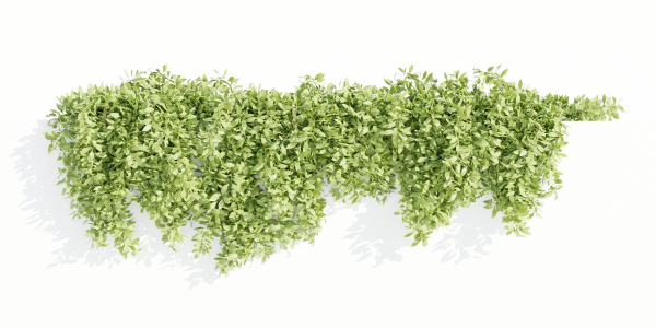 Hanging wall plants collection vol 90-Blender