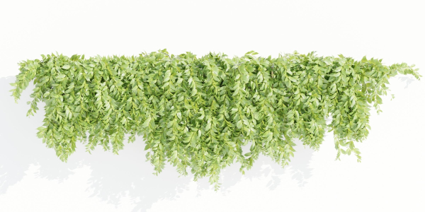 Hanging wall plants collection vol 90-Blender