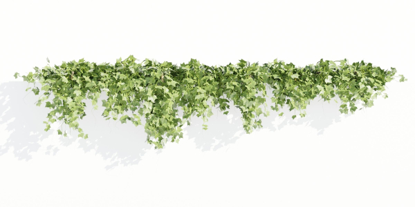 Hanging wall plants collection vol 90-Blender