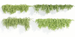 Hanging wall plants collection vol 90-Blender
