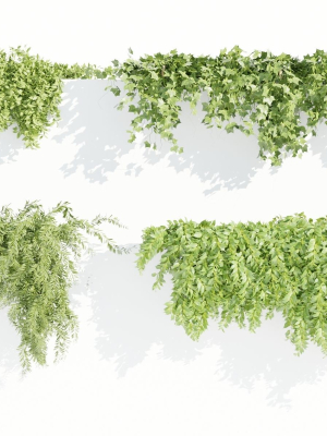 Hanging wall plants collection vol 90-Blender