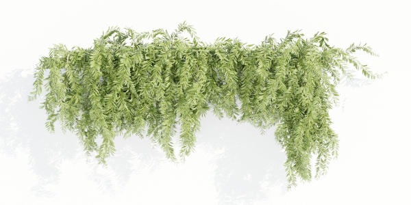 Hanging wall plants collection vol 90-Blender
