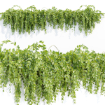 Hanging wall plants vol 127