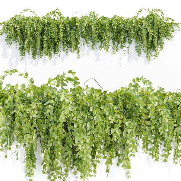 Hanging wall plants vol 127