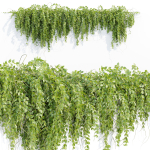 Hanging wall plants vol 127